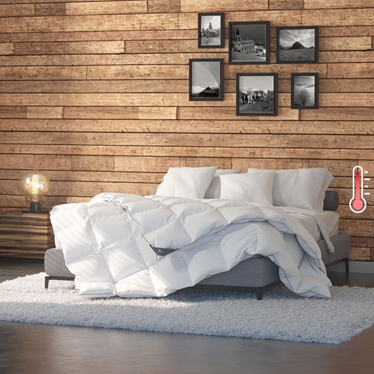 Couette 240x220